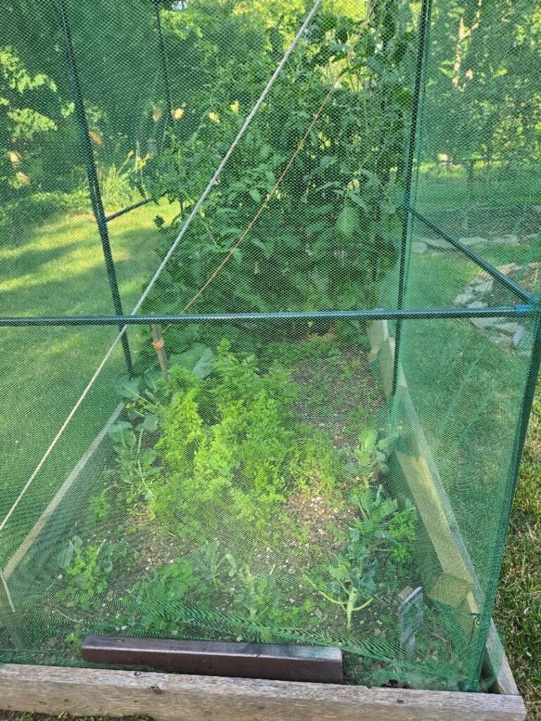 When to Plant