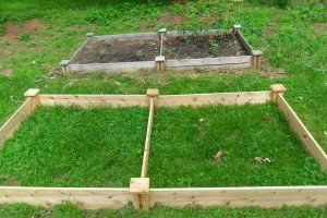 Starting Raised Bed