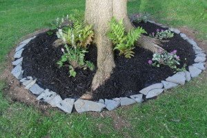 Flower bed around tree