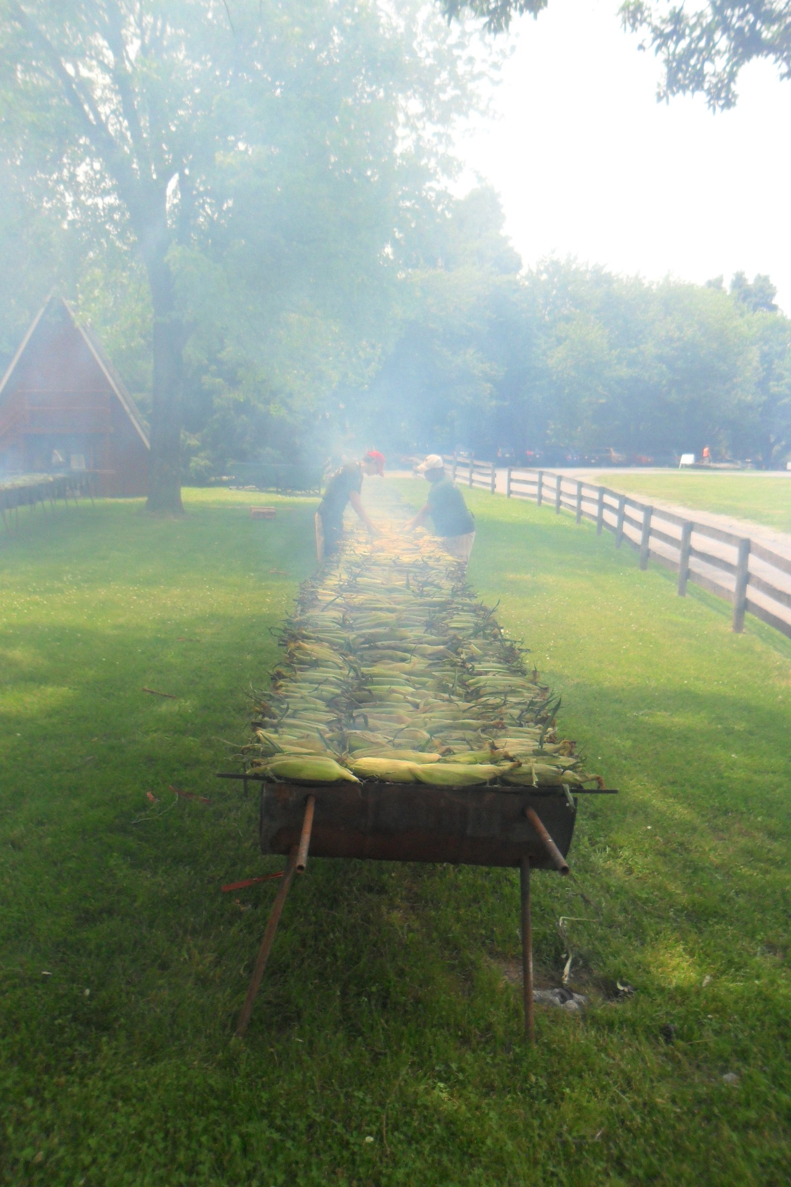 Long grills full of corn in husks