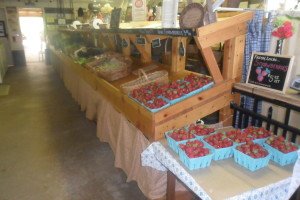 Produce side of the market