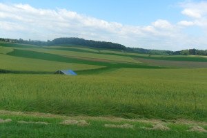 Beautiful rolling hills of the farm