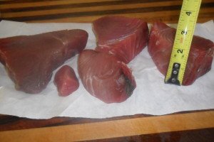 raw tuna steaks