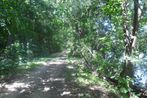 towpath between canal and river