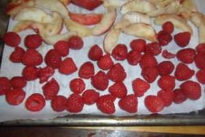 raspberries ready to freeze