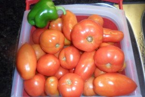 A sink full of tomatoes and one pepper