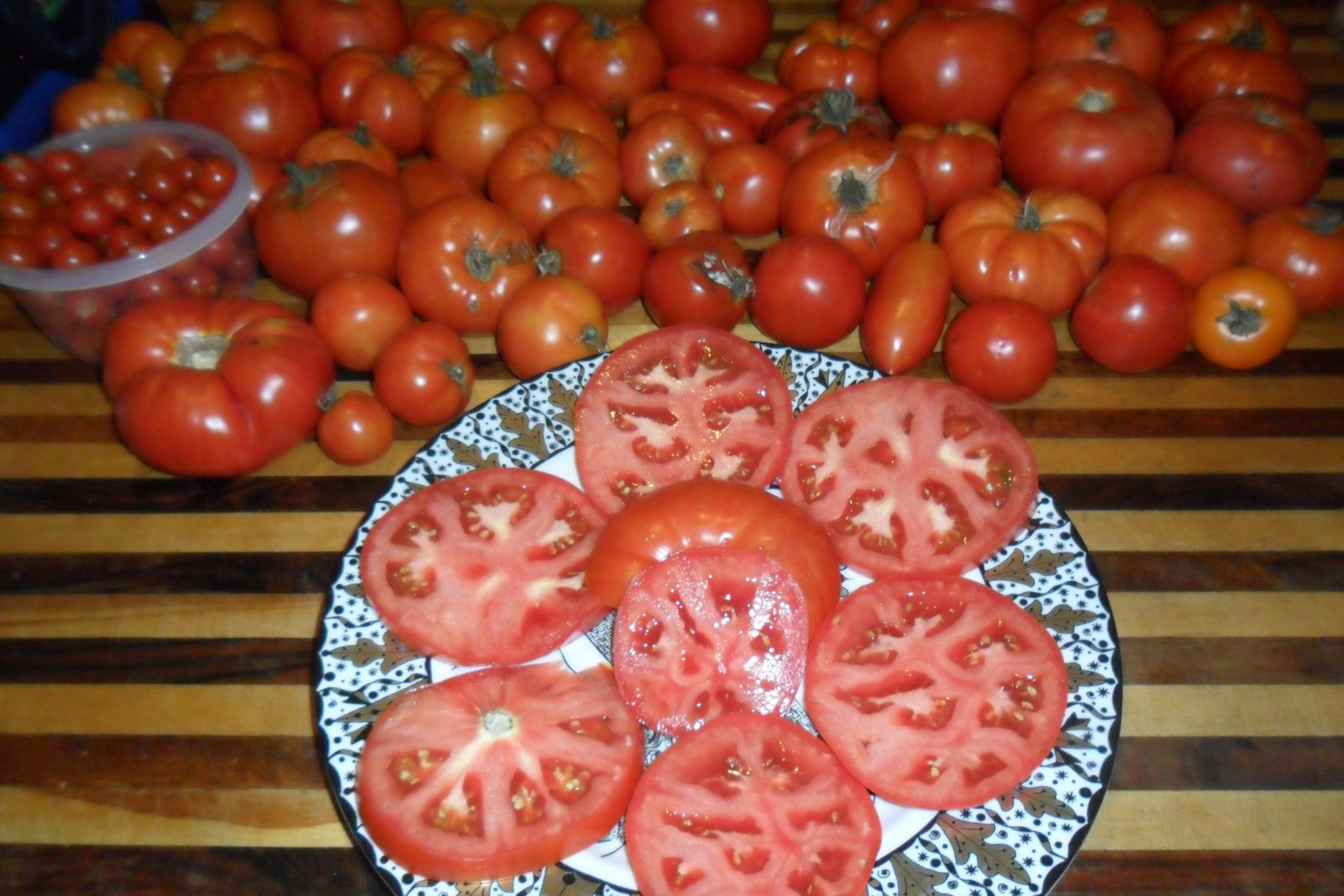 About 40 tomatoes or various types.