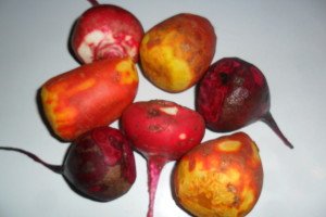 whole red, yellow, and purple beets