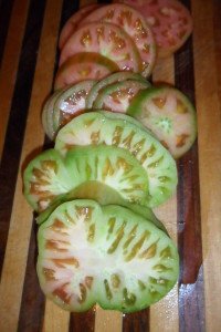 Beautiful sliced green tomatoes