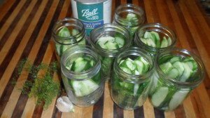 Jars with cukes waiting for brine