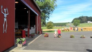 Store front, maze, and fields