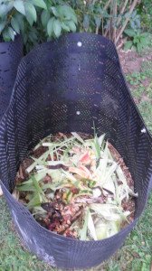 Compost with fresh kitchen scraps on top