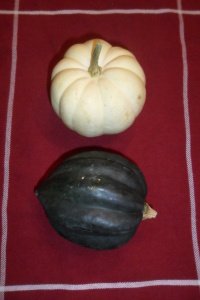 Two different color acorn squash.