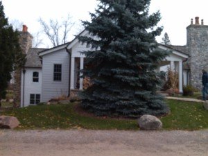 Side view of lodge with large pine tree.