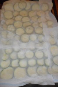 Zucchini slices between sheets of paper towel.