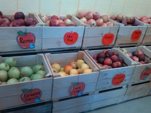 Boxes of different apples.