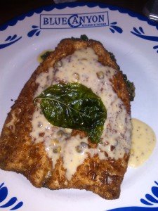 Huge piece of trout on a Blue Canyon plate.