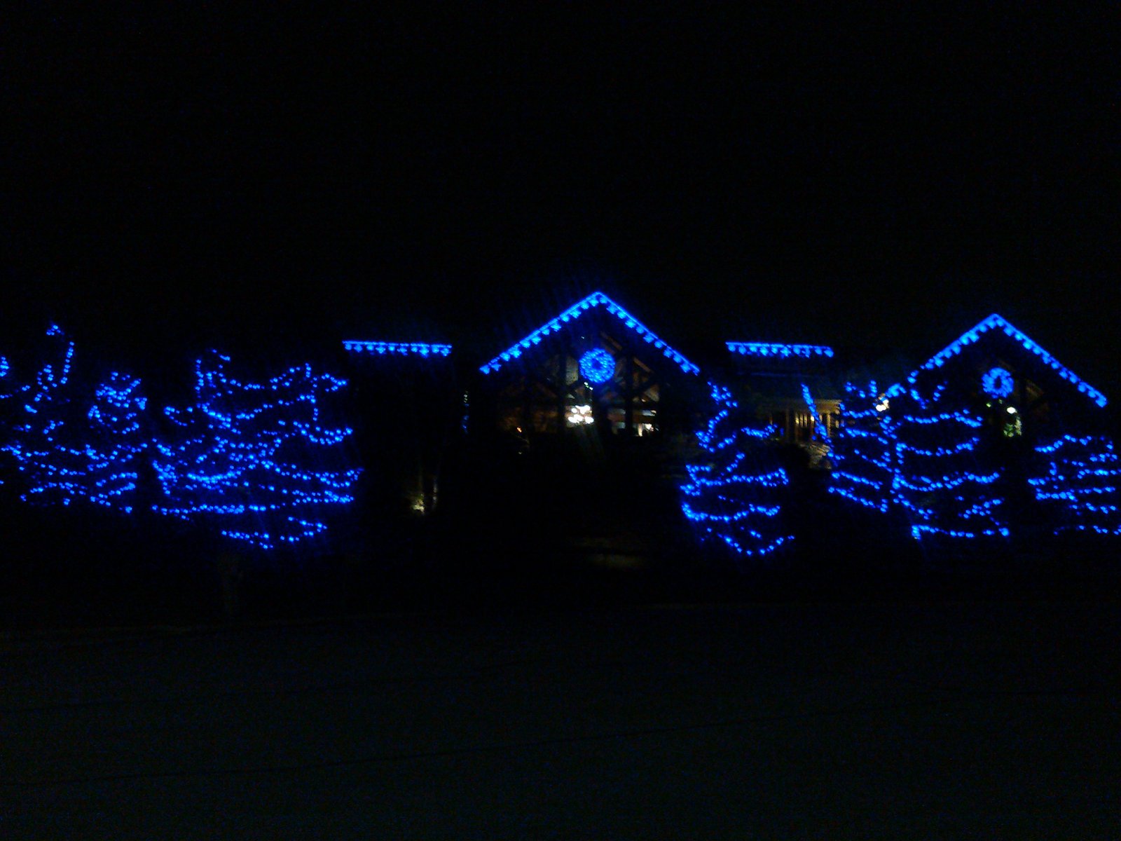 Lodge and lots of trees lit up at night.