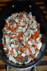 Mushrooms and carrots on top before cooking.