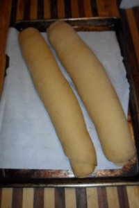 Two rolls raised and ready for the oven.