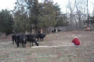 Me hanging out with the cows in the field.