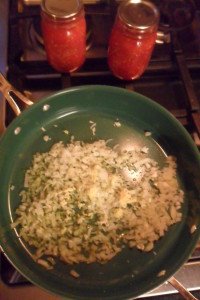 Cooking onion and garlic with tomatoes.