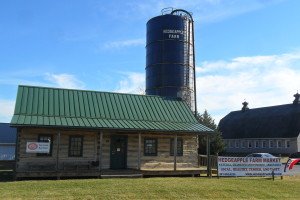 Log cabin converted into the store with silo and barn.