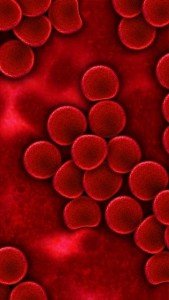 Healthy blood cells