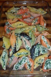 Stuffed shells arranged in baking dish.