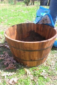 Half barrel to plant potatoes.