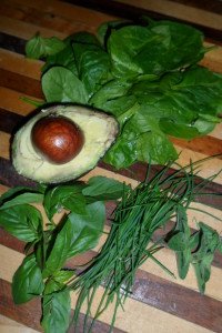 Fresh greens to make salad.