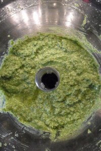 Freshly made carrot green pesto.